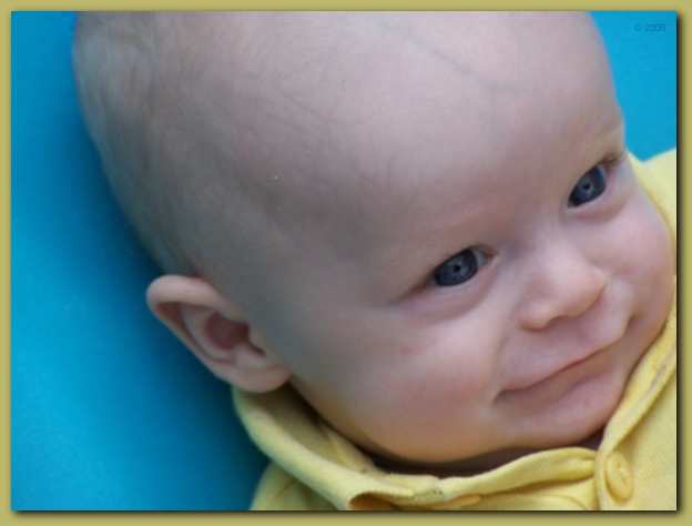 599x448 pixels (151K)